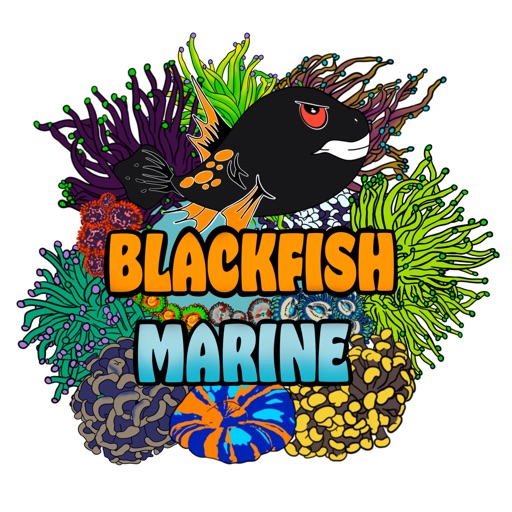 Blackfish Marine