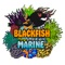 At Blackfish Marine we pride ourselves on supplying corals at a high standard and at more than competitive prices