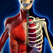 3D人体解剖学图谱 - 口袋人体解剖和生理学