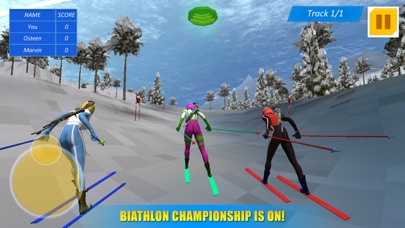 Biathlon Winter Sports 3D screenshot 1