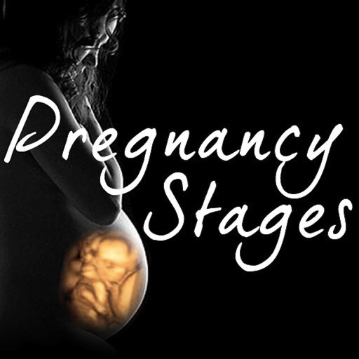 Pregnancy Stages icon