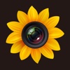 Photo Manager Pro