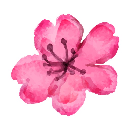 Watercolor Cherry Blossom Sticker Pack icon