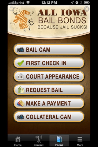 All Iowa Bail Bonds screenshot 3