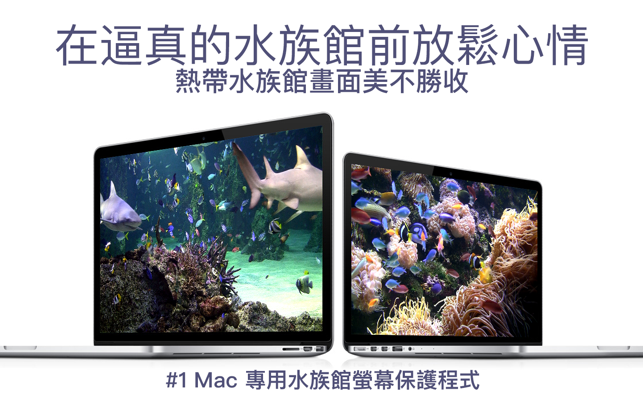 水族館HD: 湛藍海洋螢幕保護程式(圖2)-速報App