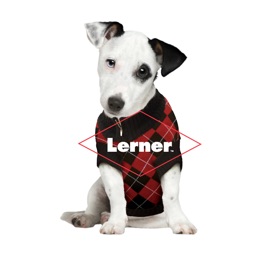 Lerner Digital eReader