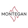 Montegan Connector