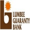 With the Lumbee Guaranty Bank Mobile Banking App, you can access your account from anywhere, anytime