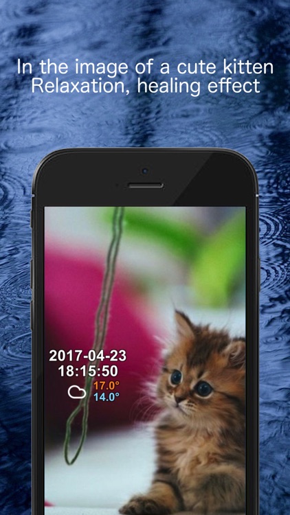 Kitten weather app