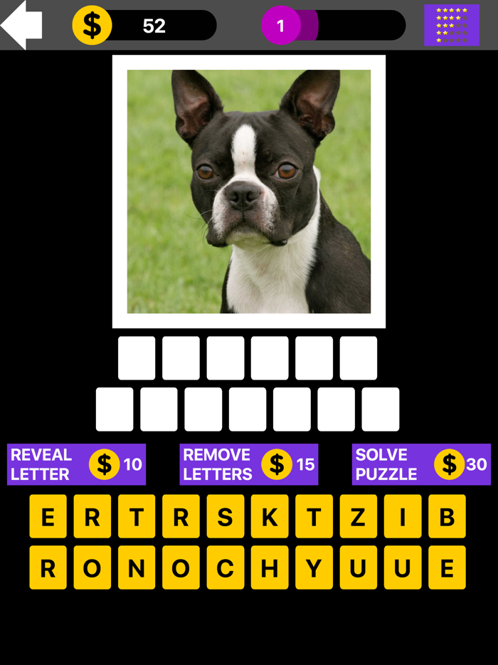 Top Dog Breed Quiz Maestro