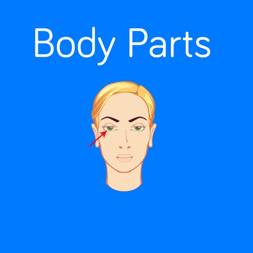 Body Parts Flashcard for babies and preschool Icon