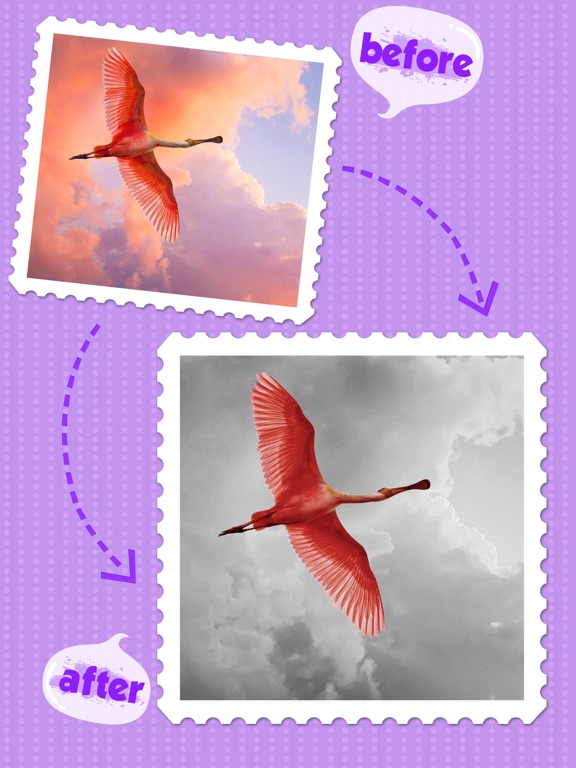 Color Editor - Photo Recolor & Background Eraserのおすすめ画像5