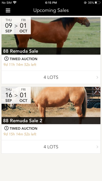 88 Remuda Sale