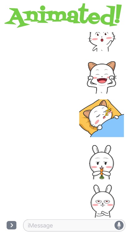 Kitty And Rabbit Animated