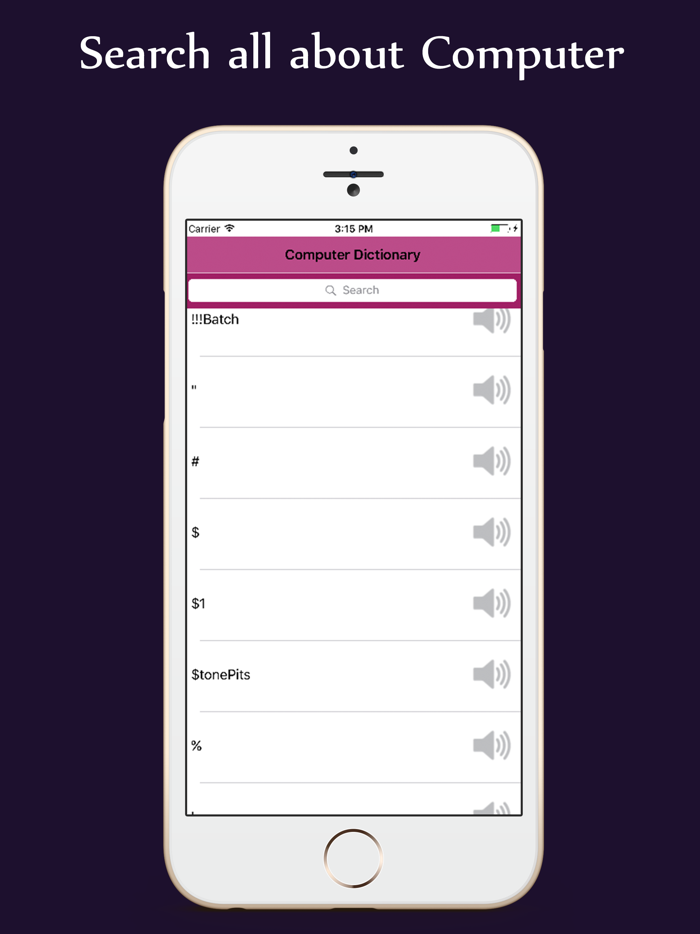 Computer Dictionary - Programming IT