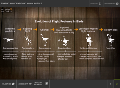 Analysis of Fossil Evidence screenshot 4