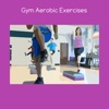 Gym aerobic exercises