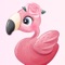 Pink Flamingo Photo Frames:-