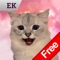 Cat Keyemoji Free-Kitty Sticker Gif Video Emoji