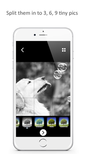 IG Tile Maker: Grid Filtered Banner for Instagram(圖4)-速報App