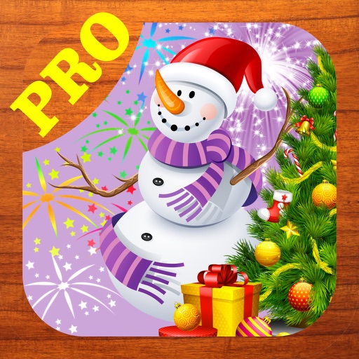 New Year Party Hidden Object Pro icon