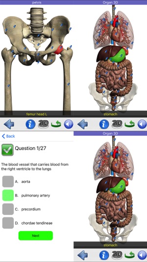 Visual Anatomy(圖5)-速報App