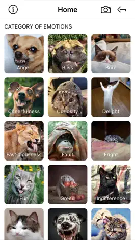 Game screenshot WildEmotions: add text to photos with animal cards mod apk