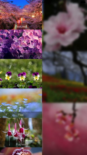 Flower Wallpapers - Best Flower Wallpapers HD(圖2)-速報App