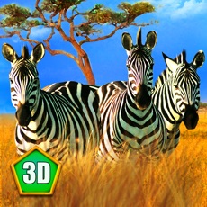 Activities of Zebra Family Simulator