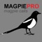 The REAL Magpie Hunting Calls app provides you magpie calls at your fingertips