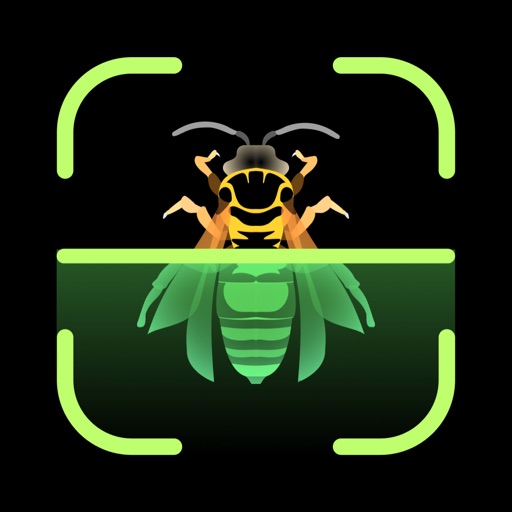 Insect Identifier1.1