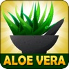 Icon Aloe Vera Benefits !