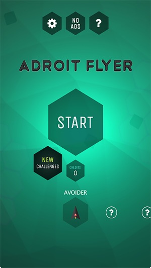 Adroit Flyer