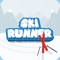 Icon Ski Runner - Fun Game