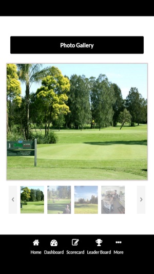 Beresfield Golf Course(圖3)-速報App