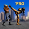 Kung fu Robot Fighting Pro