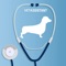 Test and improve your information answering the questions and learn new knowledge about veterinary assistant by this app