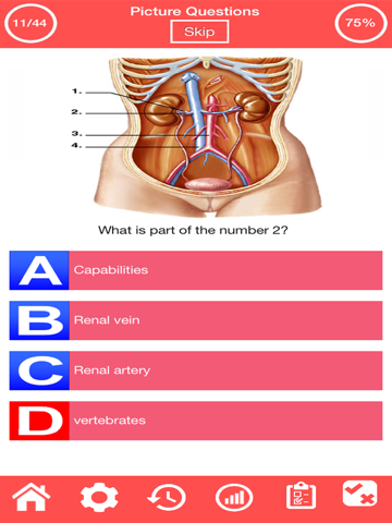 Human Urinary System Quiz screenshot 3