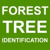 Icon Forest Tree Identification