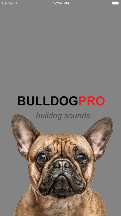 Bulldog Sounds & Barks