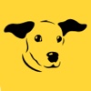 Dogs Trust Quiz