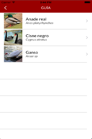 Aves Del Retiro screenshot 3