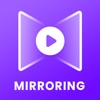 Mirror video editor