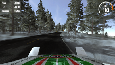 Screenshot from Rush Rally 3