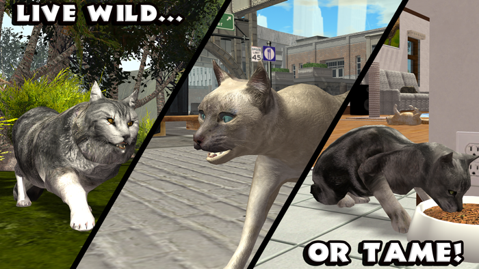 Ultimate Cat Simulator