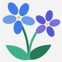 Flowers Watering Leisure