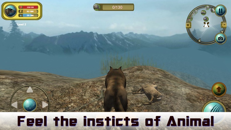 Wild Wolf Simulator 3D Runner