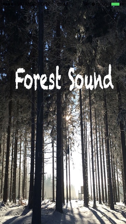 Forest Sounds - Forest Music,Sound Therapy