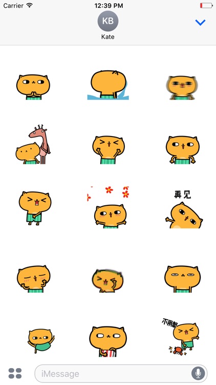 Animated Yellow Cat Stickers For iMessage