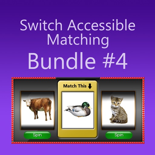 Switch Accessible Matching - Bundle #4